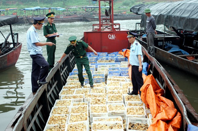 Các ngành chức năng tìm giải pháp đối phó với tình trạng buôn lậu ngày càng tinh vi. (22/01/2016)